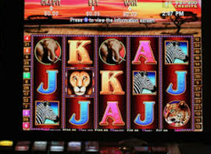 威廉体育正式版